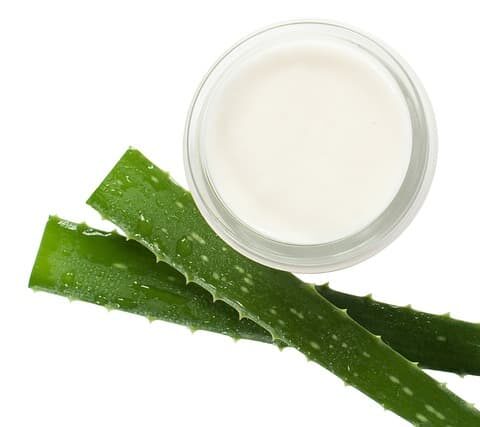 Aloe vera